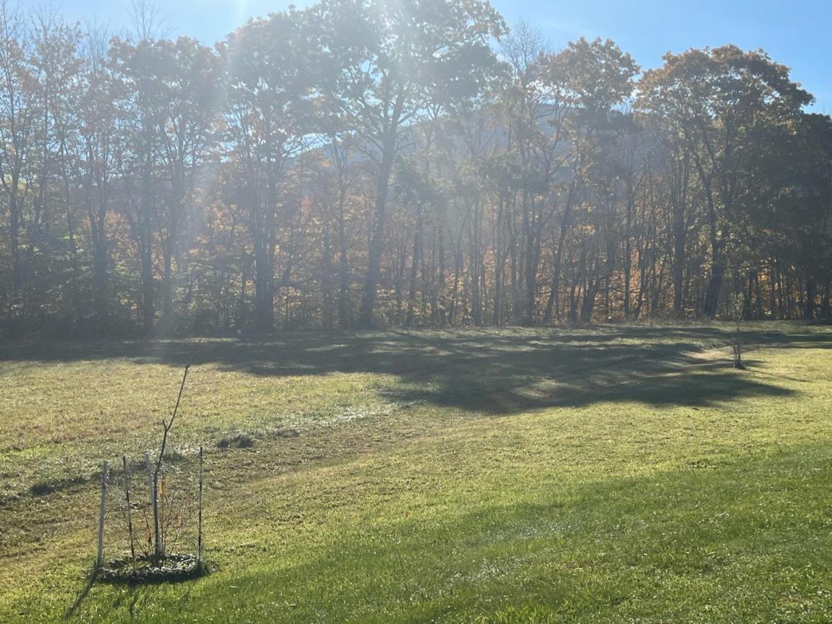 Smiths In-Law Suite! Pet Friendly, Hot Tub! Valley Head Exterior photo